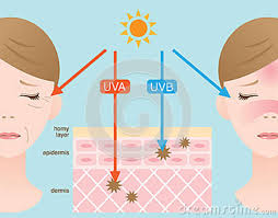 UV Effects on Skin