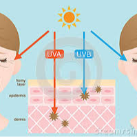 Sunscreen